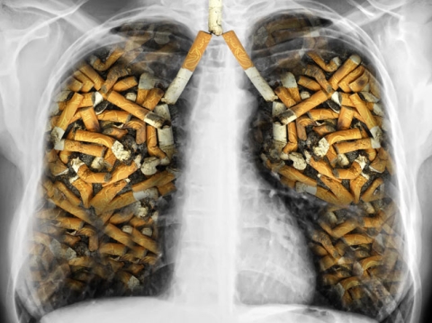 Uğur Soğutma Çalışanlarının Sigara Bağımlılığı İle Mücadele İçin Bilinçlenmesine Ön Ayak Oluyor